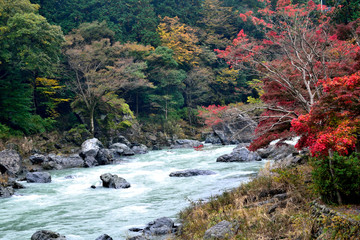 Obraz premium 秋の奥多摩 多摩川と紅葉