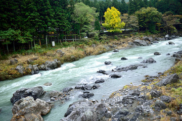秋の奥多摩 多摩川渓流
