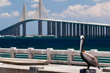 Sunshine Skyway Bridge