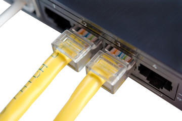 Network cables connected to wifi modem router isolated on white background