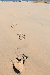 Shoe prints on the beach