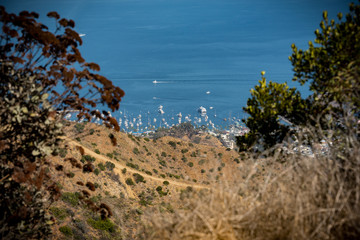 Catalina Island, California