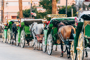 horse carriages at djemaa el fna square, morocco - obrazy, fototapety, plakaty