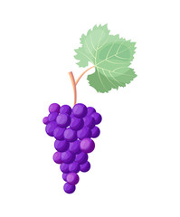 Wine Grapes Icon Vector Illustration on White