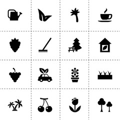 Obraz premium Simple 16 set of leaf filled icons