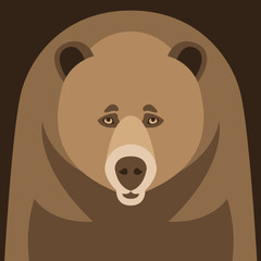 bear face flat style vector illustration front