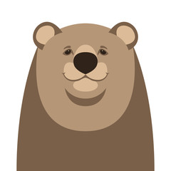 bear face flat style vector illustration front