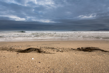 Winter morning at the seaside 