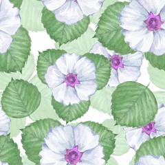 Delicate floral seamless pattern. Watercolor background with white flowers