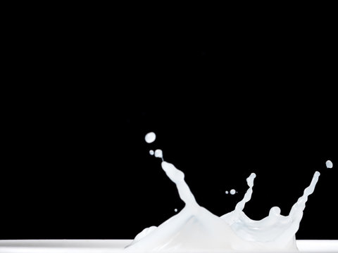 Milk Splash On Black Background.