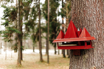 A creative red bird and squirrel feeder in the forest nailed to the tree