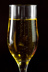 Champagne glass on black background
