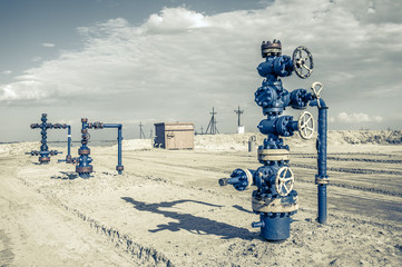 Wellhead with valve armature.