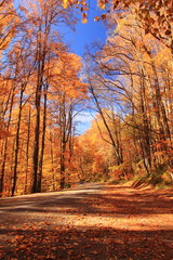 Great Smoky Mountains National Park