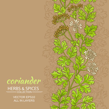 coriander vector pattern