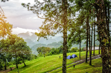 Camping near the scenic spot with Sunrise at Mon sone view point of Doi Pha Hom Pok National Park ,tourist attraction at Chiangmai province in thailand