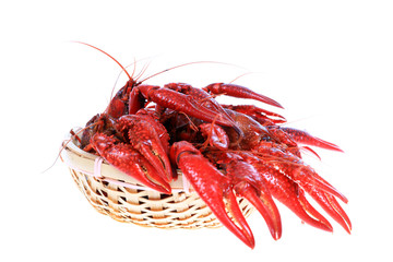 Crawfish