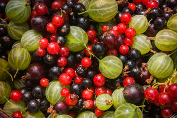Beeren Mix