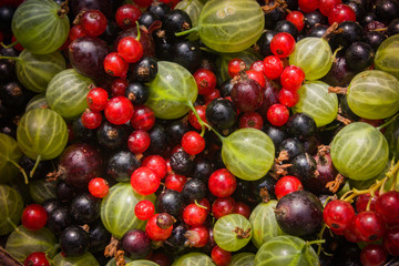 Beeren Mix