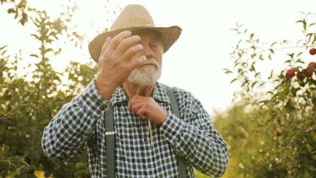 Portrait of the old man standing in the middle of the garden, taking on a hat, smiling to the camera and crossing his hands. Close up. Outdoors