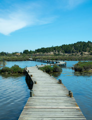 Boardwalk over calm lagoon in wild setting