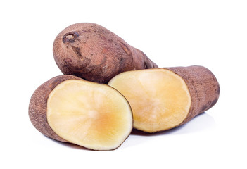 Smallanthus sonchifolius (yacon) isolated on white background