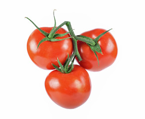 Fresh red tomato isolated on white background