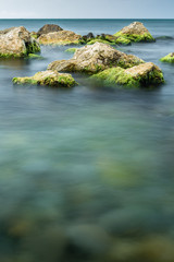 long exposure of sea and rocks covered with green algae