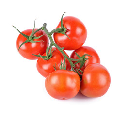 Fresh branch of tomatoes on white background