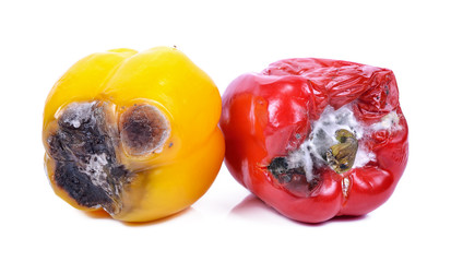 Sweet chillies rotten on a white background