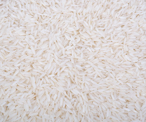 Jasmine Rice of Thailand