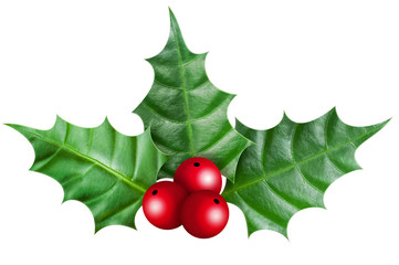 Christmask holly berry ornament on white background