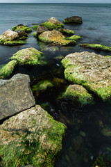 Fototapeta na wymiar long exposure of sea and rocks covered with green algae