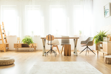 Spacious room with ferns