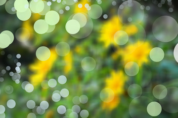 Fototapeta na wymiar Bokeh light and flower yellow beauty nature