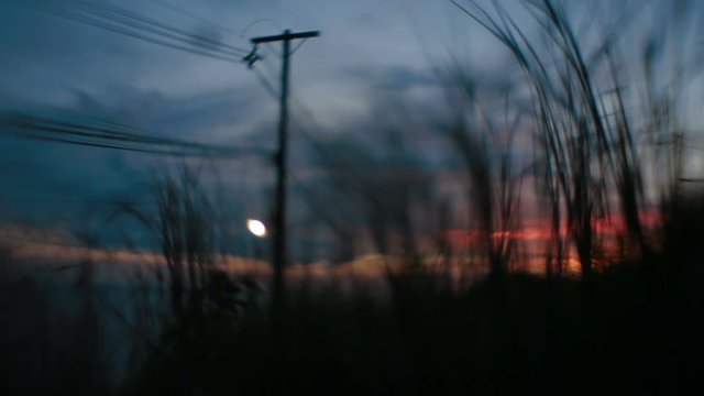 Power line at sunset. View through grass. Silhouette of plants and flowers on colorful sky background. Phuket island, Thailand.