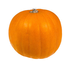 Ein einzelner orangener Halloween Kürbis isoliert auf weißem Hintergrund