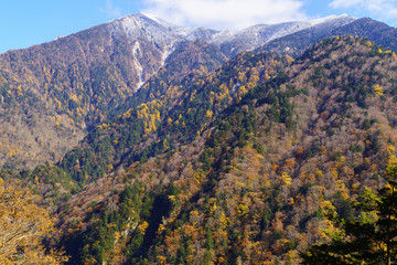 Naklejka premium 霞沢岳と紅葉