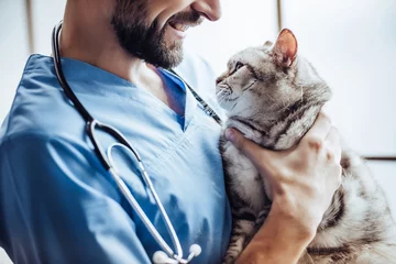 Deurstickers Doctor veterinarian at clinic © Vasyl