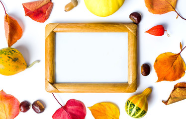 Autumn and Thanksgiving abstract background with copy space