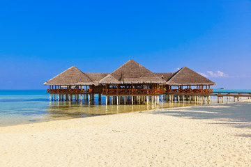 Cafe on tropical Maldives island