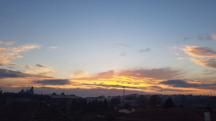Yellow Morning