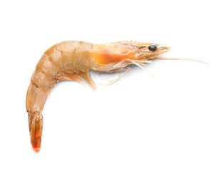Fresh shrimp on white background
