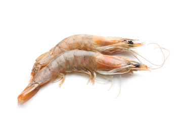 Fresh shrimps on white background