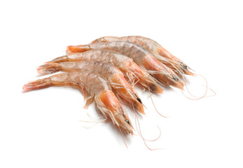 Fresh shrimps on white background