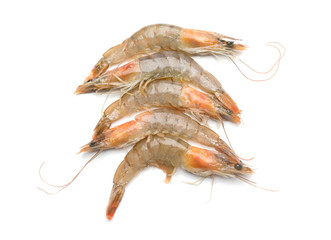 Fresh shrimps on white background