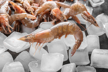 Fresh shrimps on ice cubes