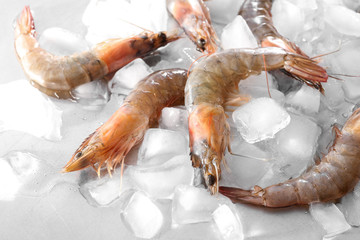 Fresh shrimps on ice cubes