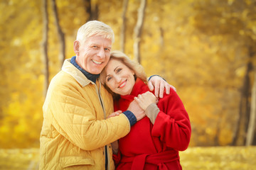 Elderly couple in park on autumn day