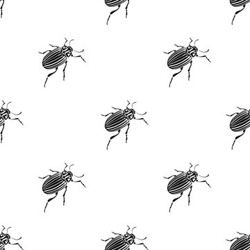 Colorado beetle, a coleopterous insect.Colorado, a harmful insect single icon in black style vector symbol stock isometric illustration web.